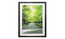 กรอบรูปภาพถ่ายวิวสวยๆตกแต่งบ้าน